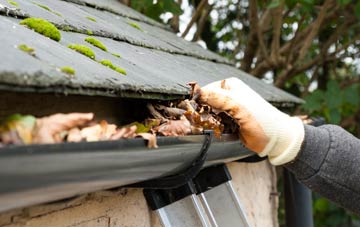 gutter cleaning Holybourne, Hampshire